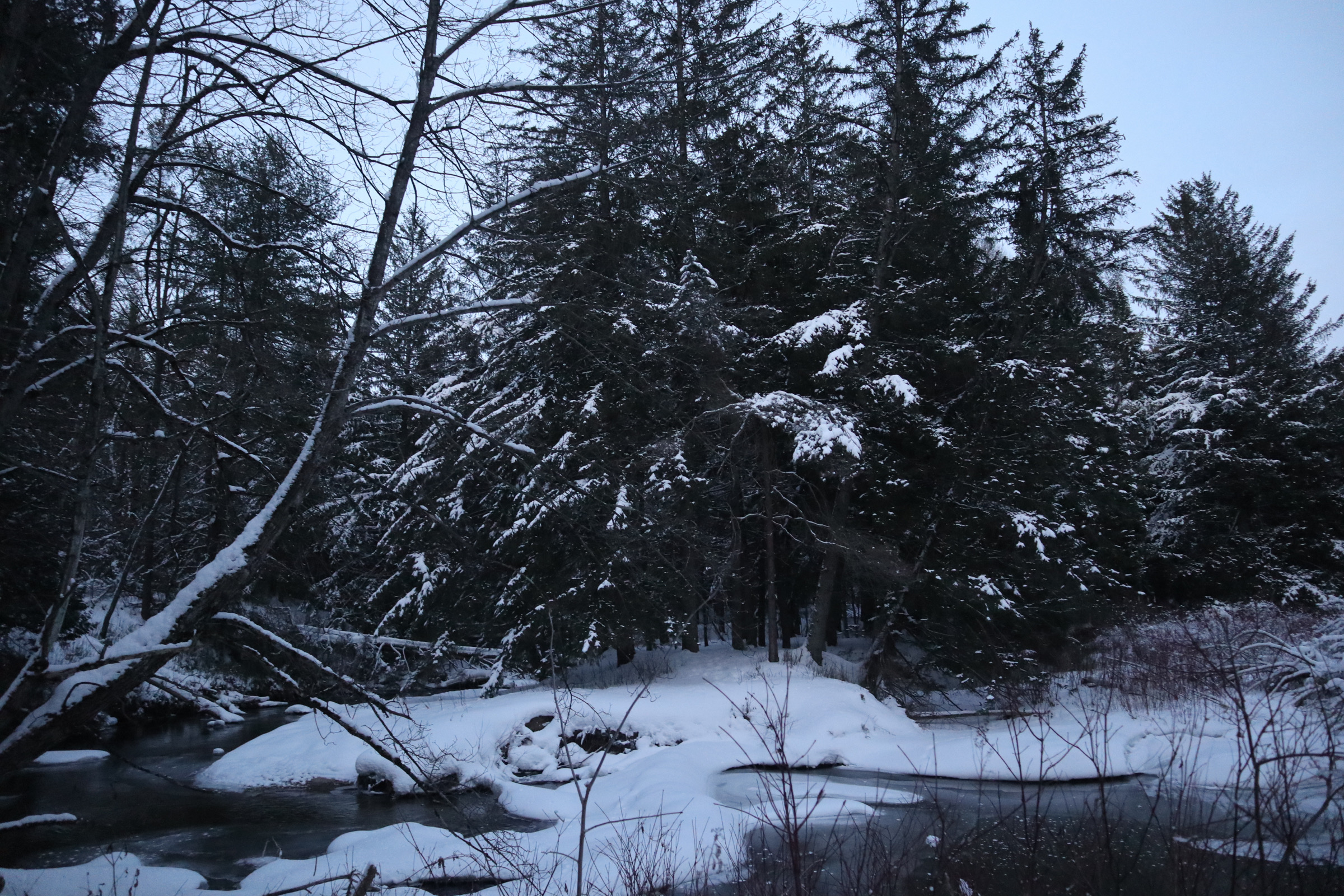 Photography 25